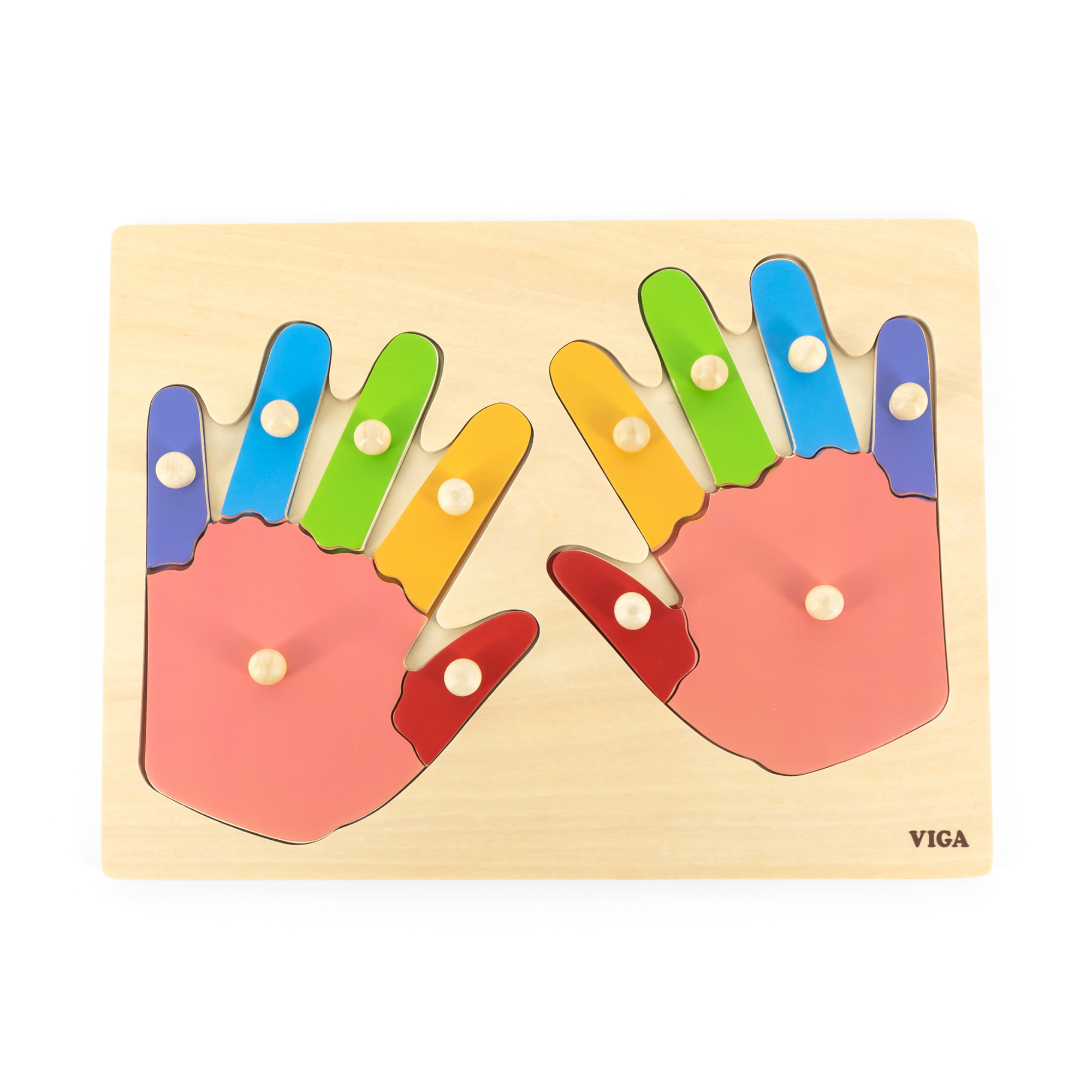 Viga Hands & Fingers, 12 Piece Knob Puzzle, Montessori Wooden Toy, Develops Sensory, Cognitive & Fine Motor Skills, Non-Toxic & Eco-friendly Kids Educational Toy, Suitable for Children Aged 18M+