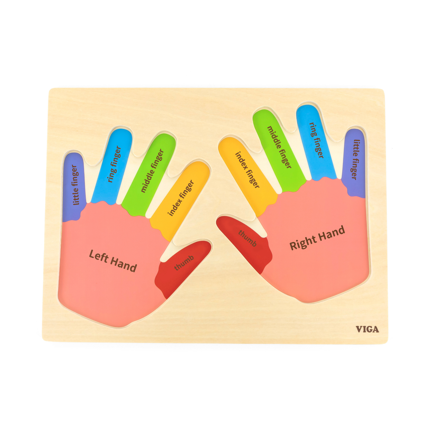 Viga Hands & Fingers, 12 Piece Knob Puzzle, Montessori Wooden Toy, Develops Sensory, Cognitive & Fine Motor Skills, Non-Toxic & Eco-friendly Kids Educational Toy, Suitable for Children Aged 18M+