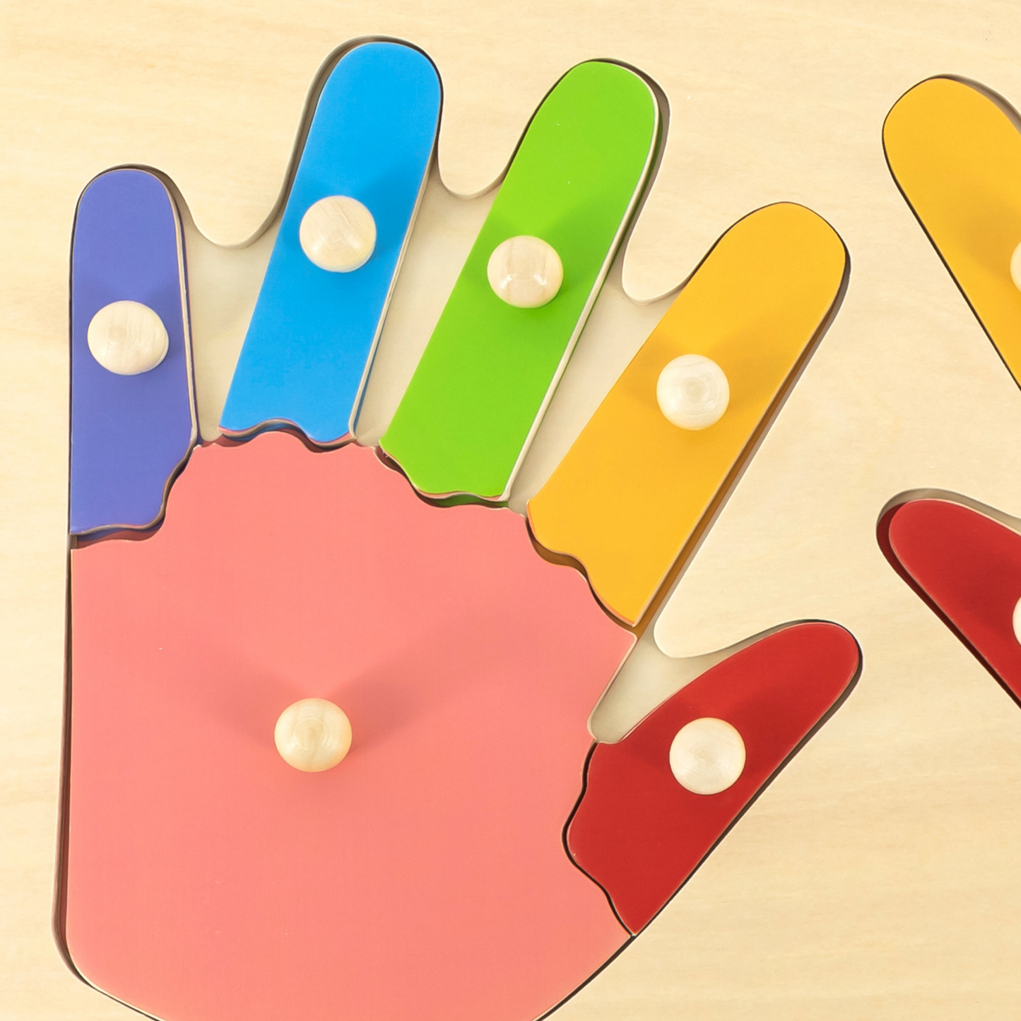 Viga Hands & Fingers, 12 Piece Knob Puzzle, Montessori Wooden Toy, Develops Sensory, Cognitive & Fine Motor Skills, Non-Toxic & Eco-friendly Kids Educational Toy, Suitable for Children Aged 18M+