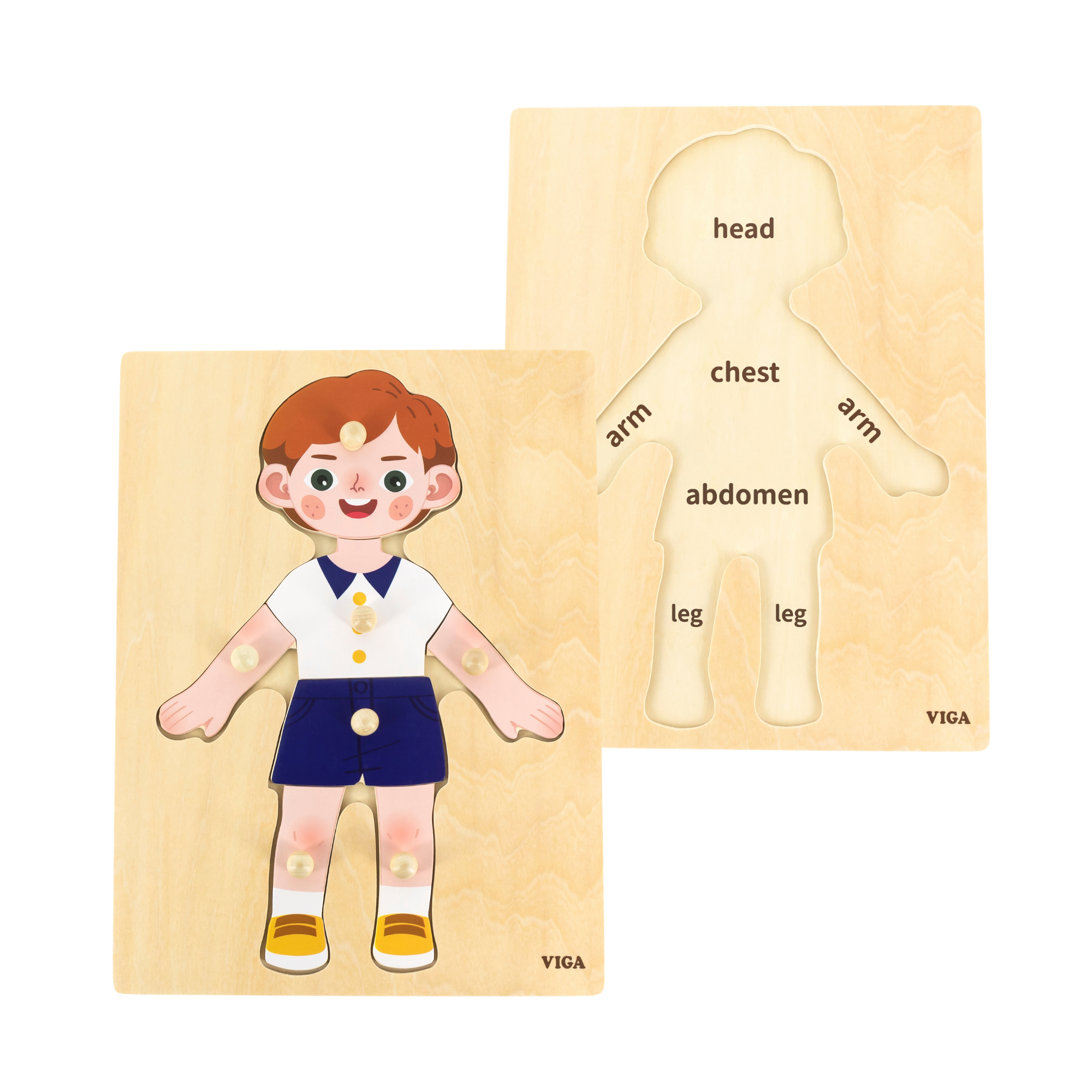 Viga Boys Body, 7 Piece Knob Puzzle, Montessori Wooden Toy, Develops Sensory, Cognitive & Fine Motor Skills, Non-Toxic & Eco-friendly Kids Educational Toy, Suitable for Boys and Girls Aged 18M+