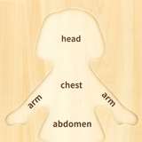 Viga Girls Body, 7 Piece Knob Puzzle, Montessori Wooden Toy, Develops Sensory, Cognitive & Fine Motor Skills, Non-Toxic & Eco-friendly Kids Educational Toy, Suitable for Boys and Girls Aged 18M+