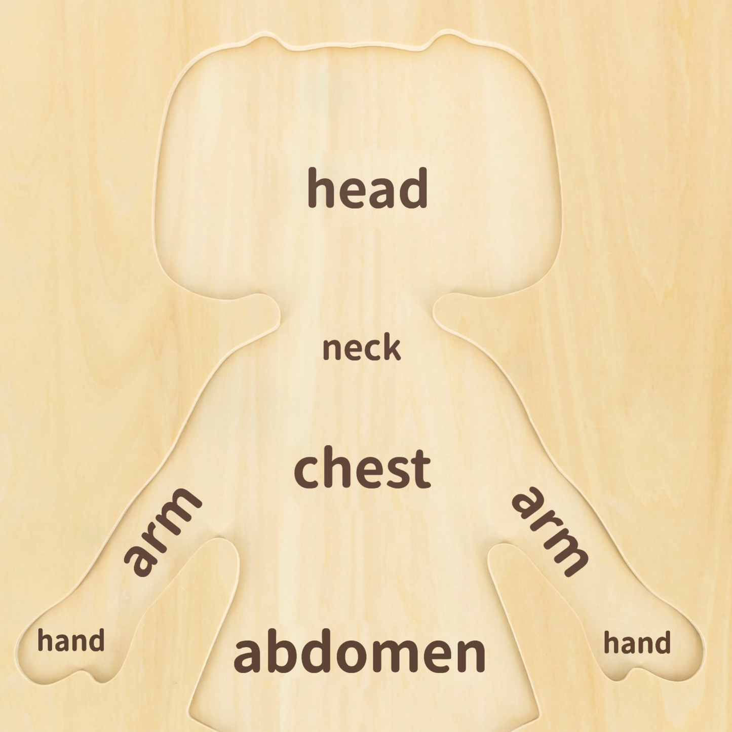 Viga Girls Body, 12 Piece Knob Puzzle, Montessori Wooden Toy, Develops Sensory, Cognitive & Fine Motor Skills, Non-Toxic & Eco-friendly Kids Educational Toy, Suitable for Boys and Girls Aged 18M+