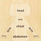 Viga Girls Body, 12 Piece Knob Puzzle, Montessori Wooden Toy, Develops Sensory, Cognitive & Fine Motor Skills, Non-Toxic & Eco-friendly Kids Educational Toy, Suitable for Boys and Girls Aged 18M+