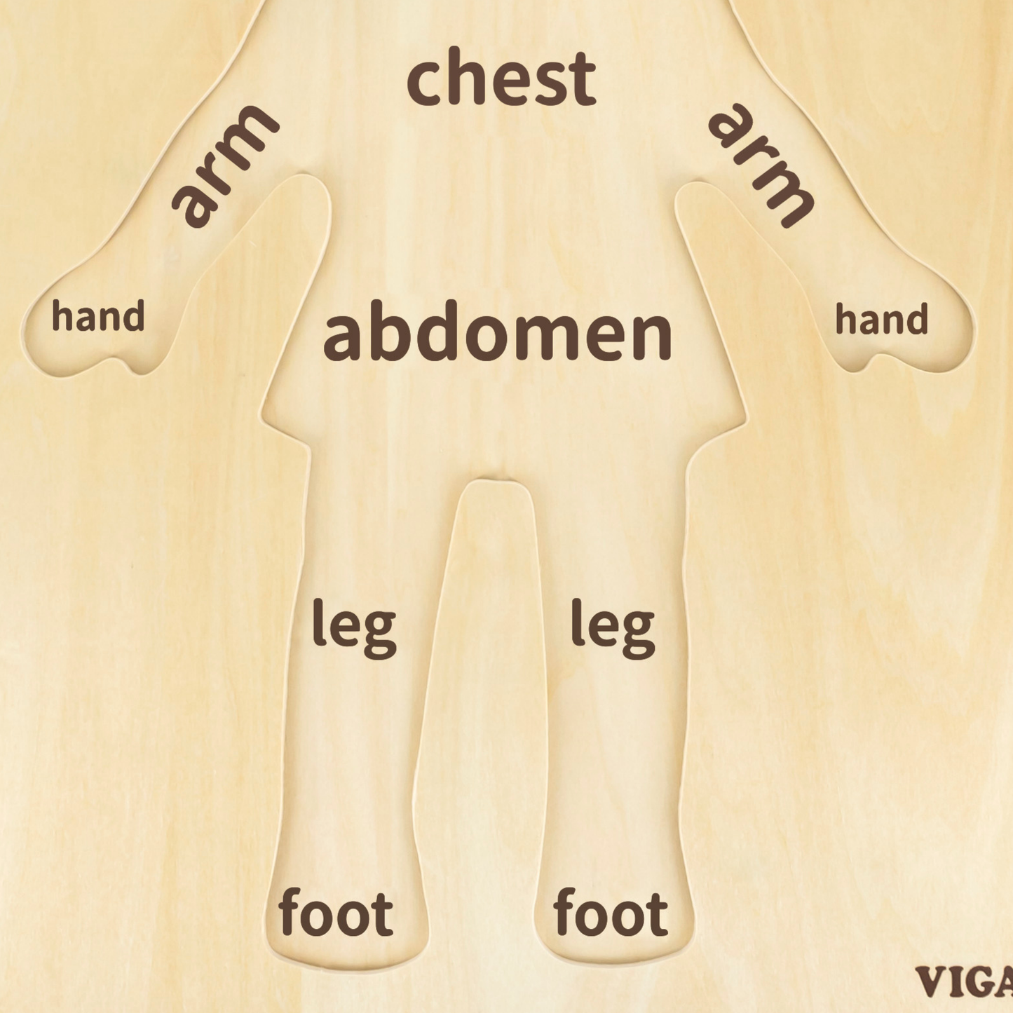 Viga Girls Body, 12 Piece Knob Puzzle, Montessori Wooden Toy, Develops Sensory, Cognitive & Fine Motor Skills, Non-Toxic & Eco-friendly Kids Educational Toy, Suitable for Boys and Girls Aged 18M+