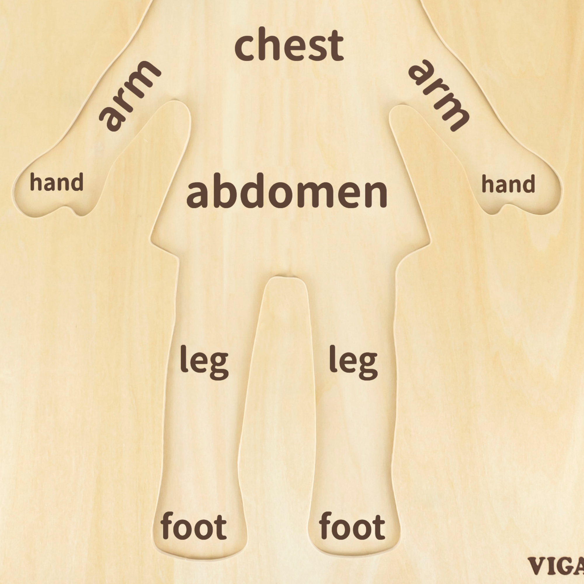 Viga Girls Body, 12 Piece Knob Puzzle, Montessori Wooden Toy, Develops Sensory, Cognitive & Fine Motor Skills, Non-Toxic & Eco-friendly Kids Educational Toy, Suitable for Boys and Girls Aged 18M+