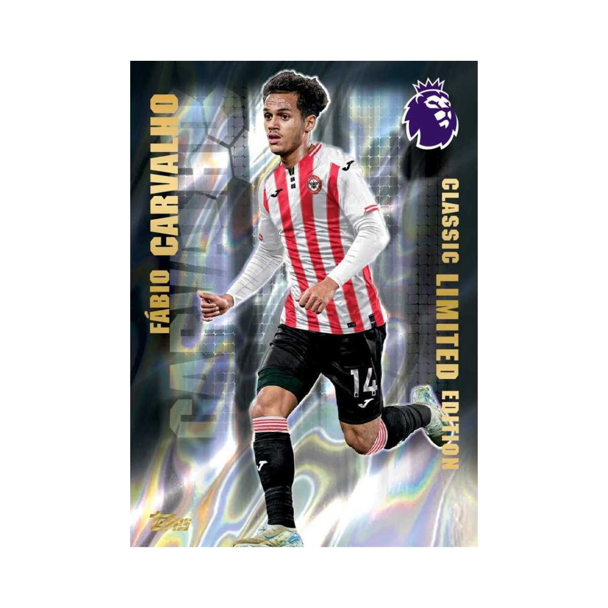 Topps Premier League 2025 2026 Football Trading Cards Starter Pack, Includes 10 Cards with Special Inserts, Gold Lion Limited Card, Collector Binder Checklist and Guide, Official Premier League Collectible