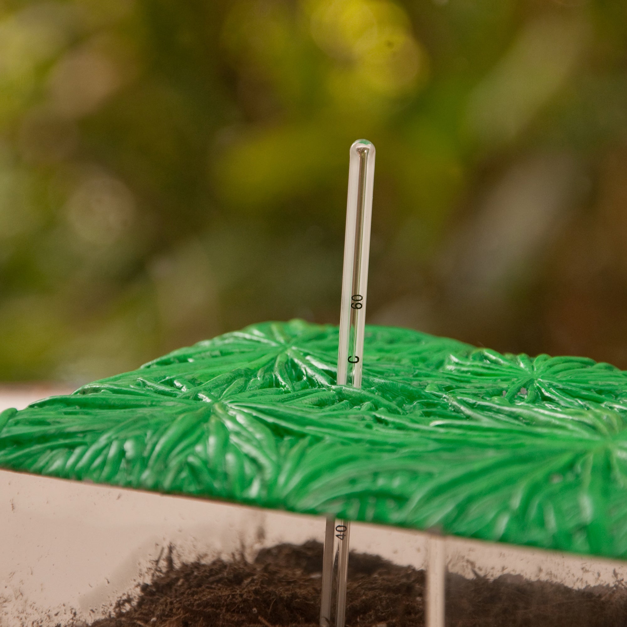 Learning Resources Now You See It, Now You Don’t See-Through Compost Container, Interactive Decomposition Learning Kit, STEM Educational Resource, Ages 4+
