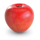 Learning Resources Magnetic Apple Fractions, Hands-On Learning Tool for Teaching Fractions, Equivalencies, and Basic Math Concepts