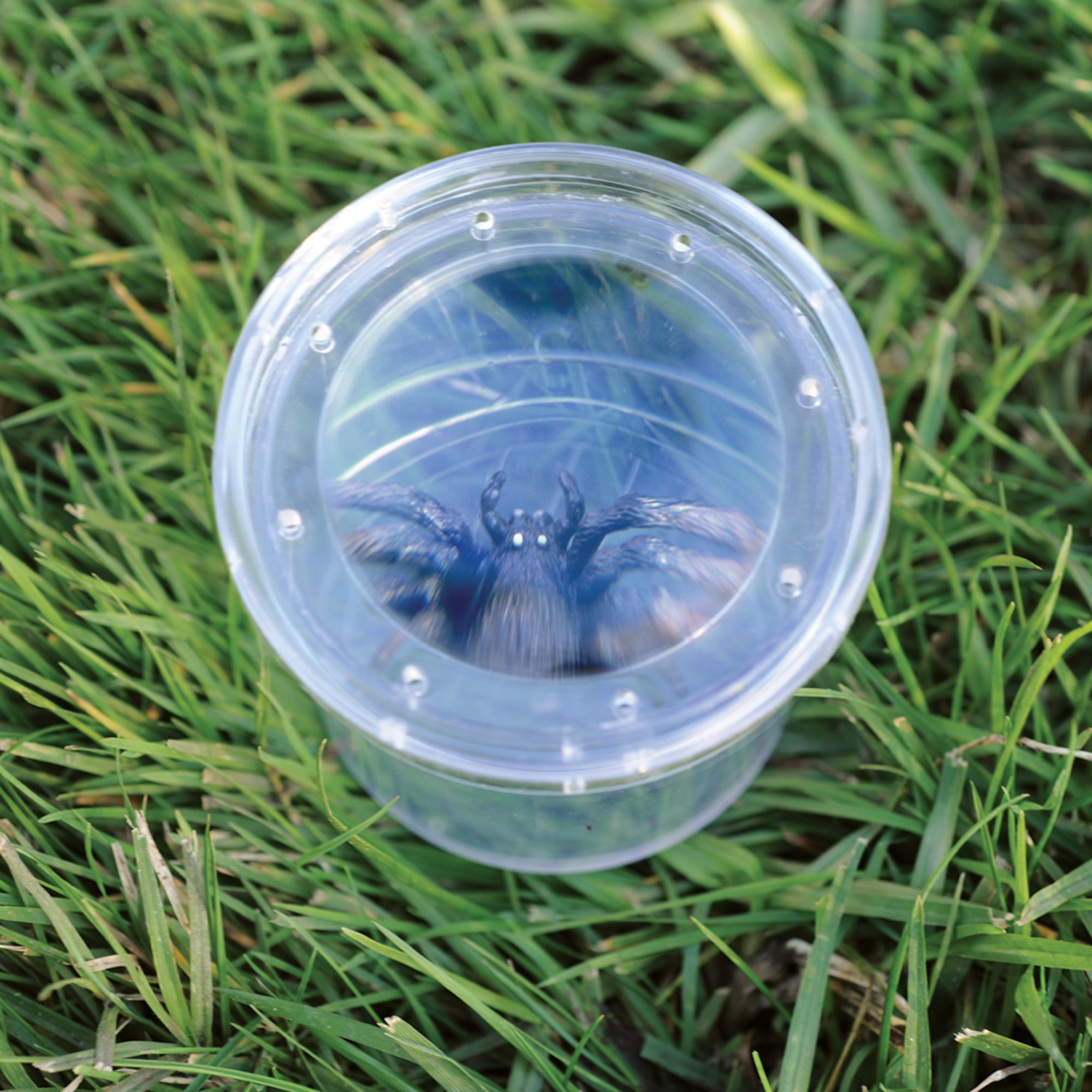 Learning Resources GeoSafari Jr. Bug Viewer, Magnifying Jar for Kids, 3x Magnification, Air Holes for Live Viewing, Measuring Grid Base, Ideal for Outdoor Exploration, Ages 3+